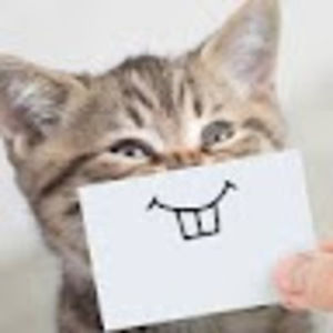 Meet your Posher, Charlotte